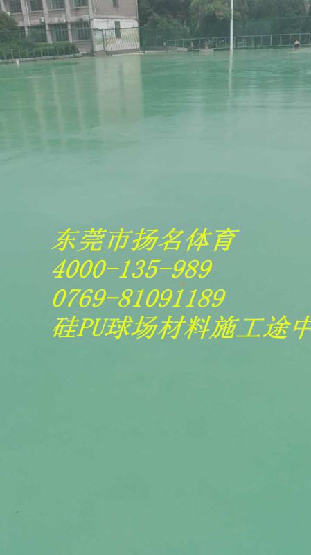 ��PU�������,��������,��ݸ��������,�ܽ��ܵ�����,�㶫��PU,��pu�򳡲���,�ܽ��ܵ�����,��ݸ�򳡲���