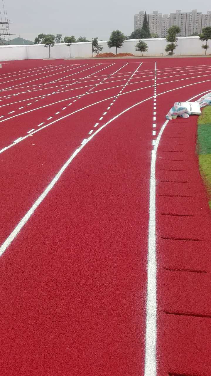 �½��ļ��� (2)IMG_0179.JPG